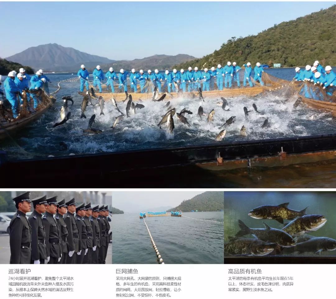 黄山太平湖生态渔业股份有限公司祝您新年快乐！