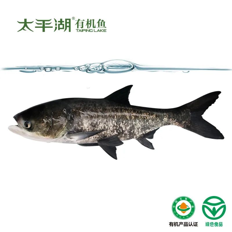 黄山太平湖生态渔业股份有限公司提醒您，需要了解的水产常识